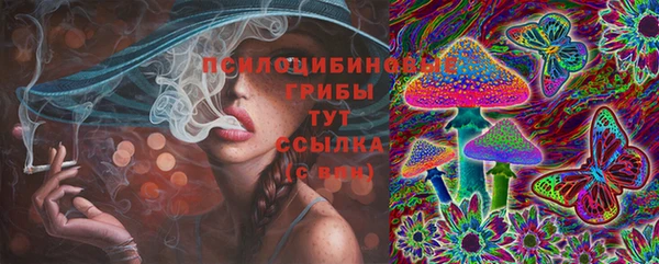 МДПВ Алзамай