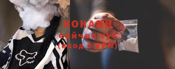 ГАЛЛЮЦИНОГЕННЫЕ ГРИБЫ Апатиты