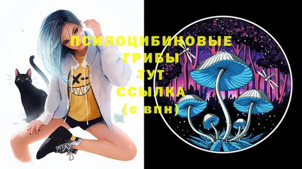 МДПВ Майский