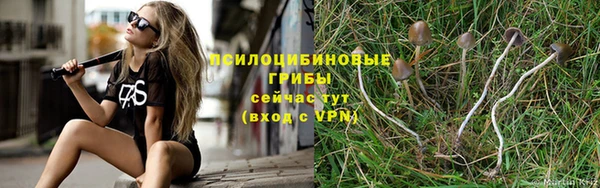 PSILOCYBIN Медногорск