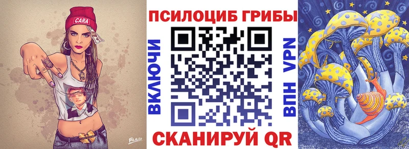 Псилоцибиновые грибы Psilocybine cubensis  Шебекино 