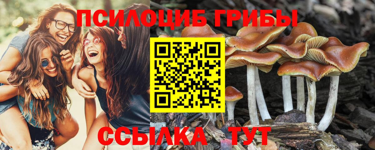 Галлюциногенные грибы ЛСД  Галлюциногенные грибы прущие грибы  Шебекино  Вход с VPN 