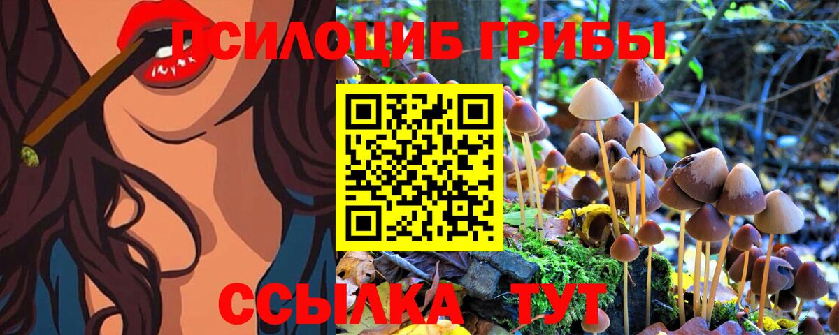 Псилоцибиновые грибы GOLDEN TEACHER  Галлюциногенные грибы Cubensis  Шебекино 