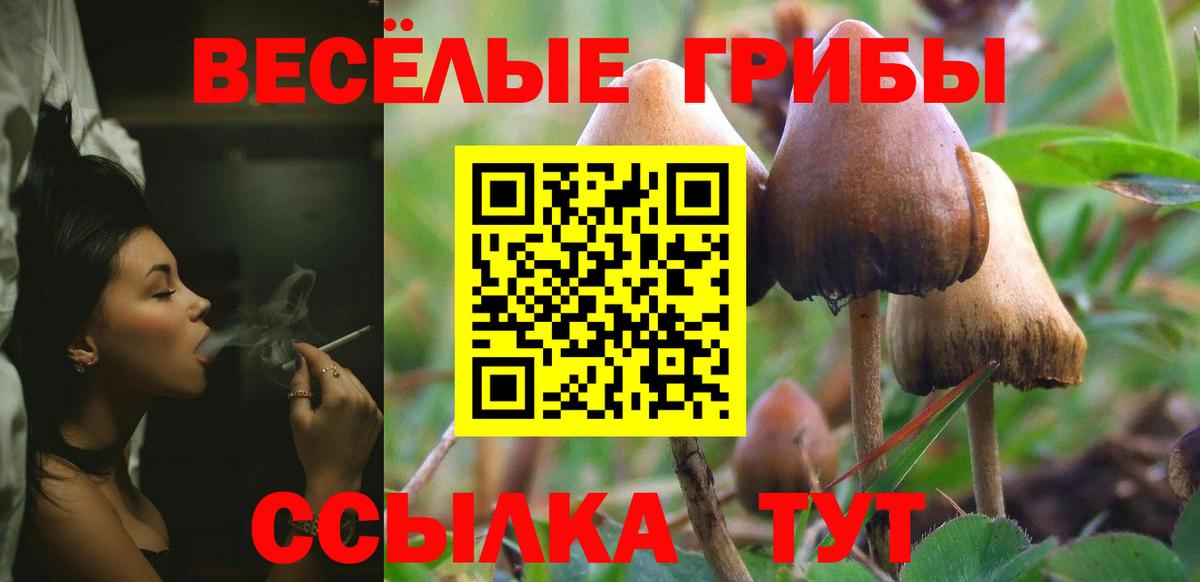 Псилоцибиновые грибы Magic Shrooms Шебекино