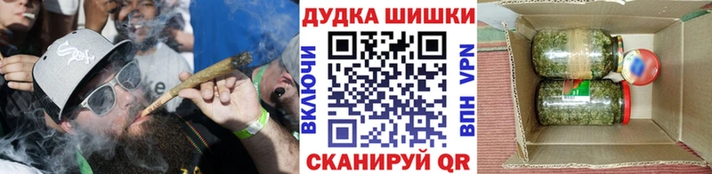 Шишки марихуана планчик  дарнет шоп  Шебекино 